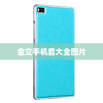金立手机套大全图片
