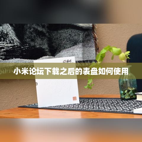 小米论坛下载之后的表盘如何使用