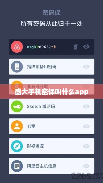 盛大手机密保叫什么app