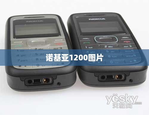 诺基亚1200图片