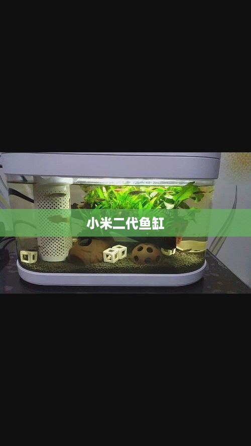 小米二代鱼缸