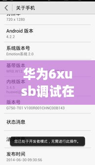 华为6xusb调试在哪里