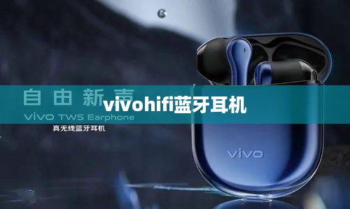 vivohifi蓝牙耳机