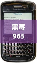 黑莓9650软件