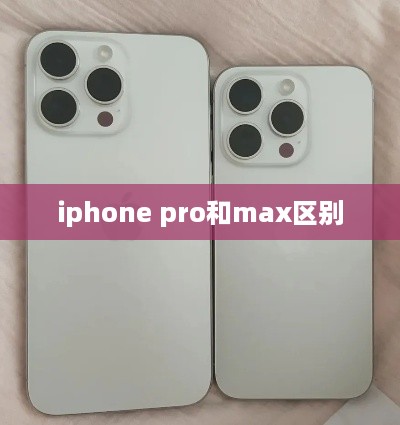 iphone pro和max区别