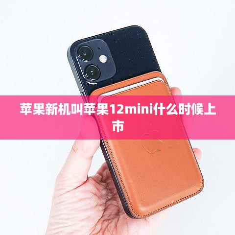 苹果新机叫苹果12mini什么时候上市