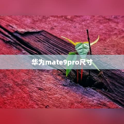 华为mate9pro尺寸