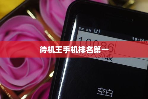 待机王手机排名第一