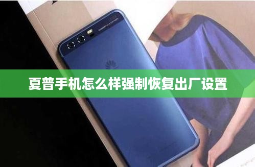夏普手机怎么样强制恢复出厂设置