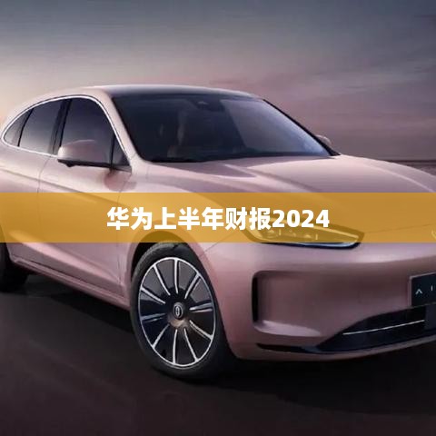 华为上半年财报2024