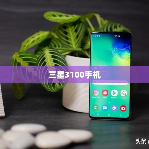 三星3100手机