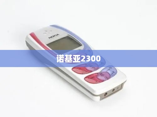 诺基亚2300