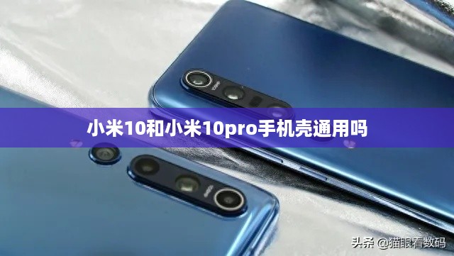 小米10和小米10pro手机壳通用吗