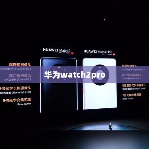 华为watch2pro