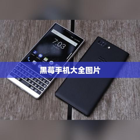 黑莓手机大全图片