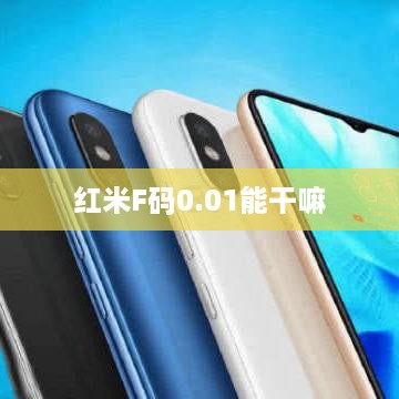 红米F码0.01能干嘛