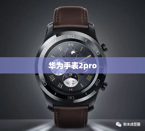 华为手表2pro