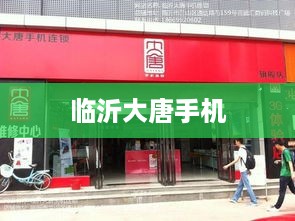 临沂大唐手机
