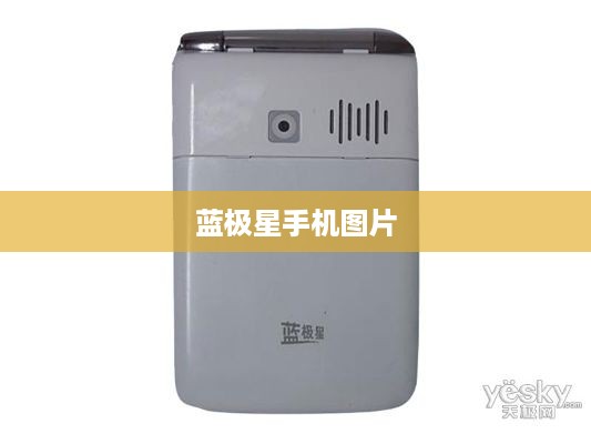 蓝极星手机图片