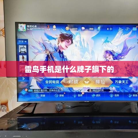 雷鸟手机是什么牌子旗下的