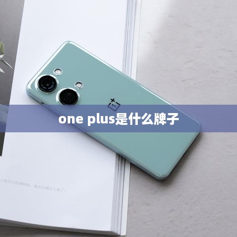 one plus是什么牌子