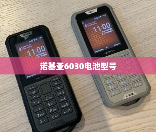 诺基亚6030电池型号