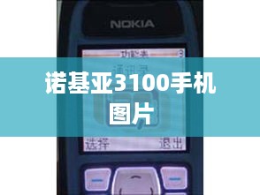 诺基亚3100手机图片
