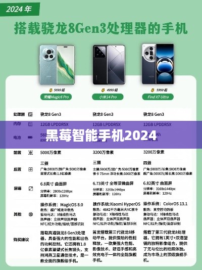 黑莓智能手机2024