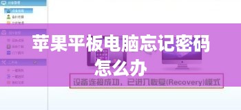 苹果平板电脑忘记密码怎么办