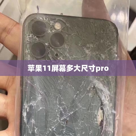 苹果11屏幕多大尺寸pro
