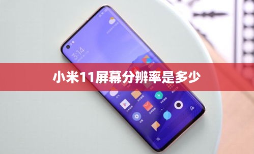 小米11屏幕分辨率是多少