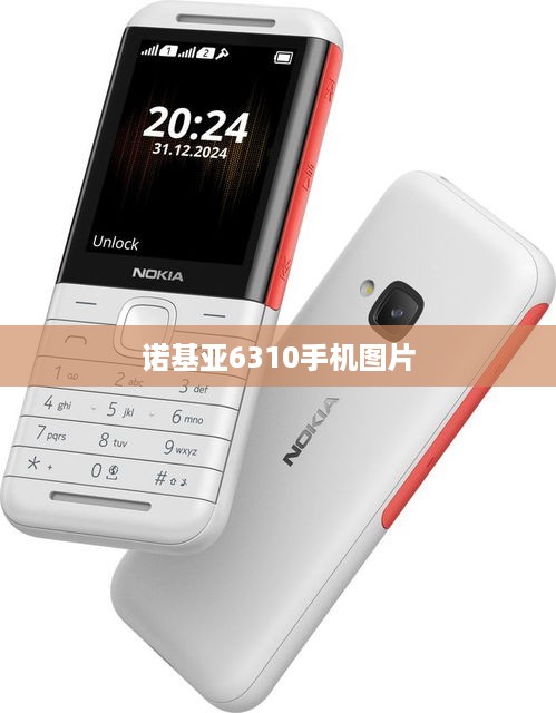 诺基亚6310手机图片