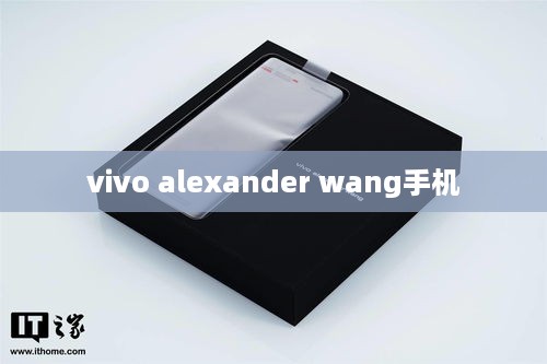 vivo alexander wang手机