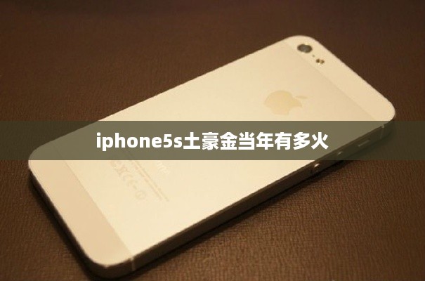 iphone5s土豪金当年有多火