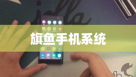 旗鱼手机系统  第1张