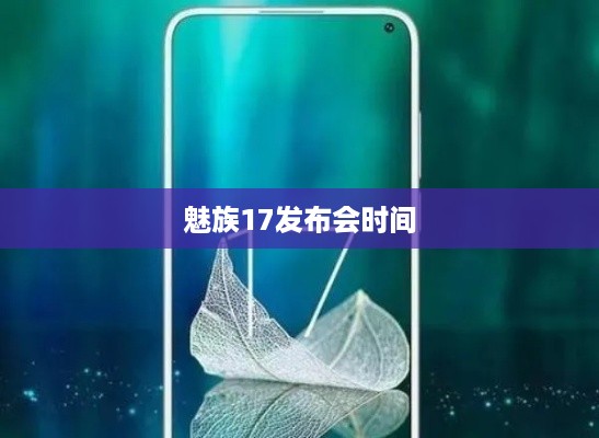 魅族17发布会时间
