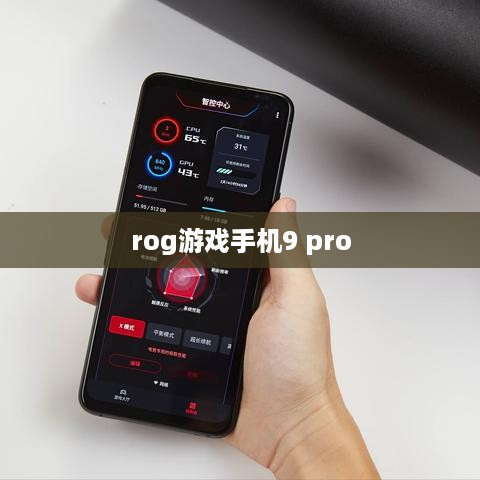rog游戏手机9 pro