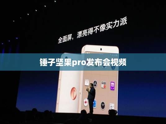 锤子坚果pro发布会视频