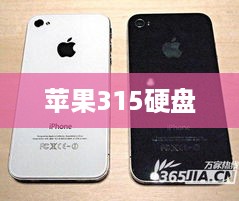 苹果315硬盘