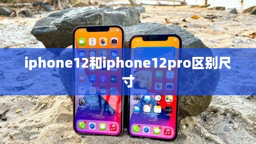 iphone12和iphone12pro区别尺寸