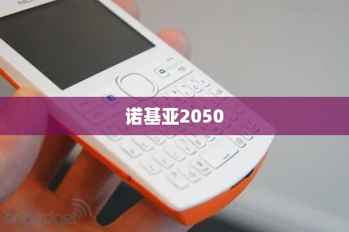 诺基亚2050
