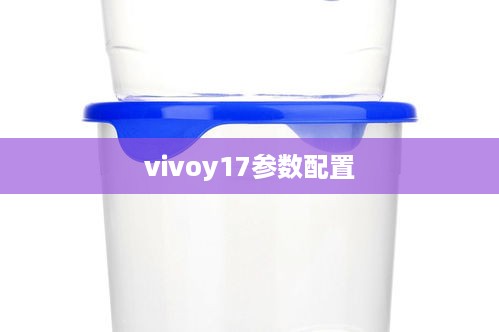 vivoy17参数配置