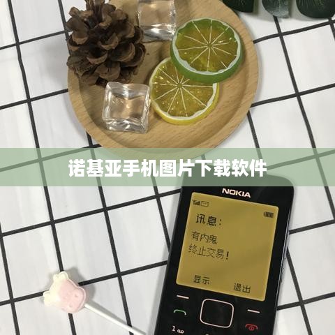 诺基亚手机图片下载软件