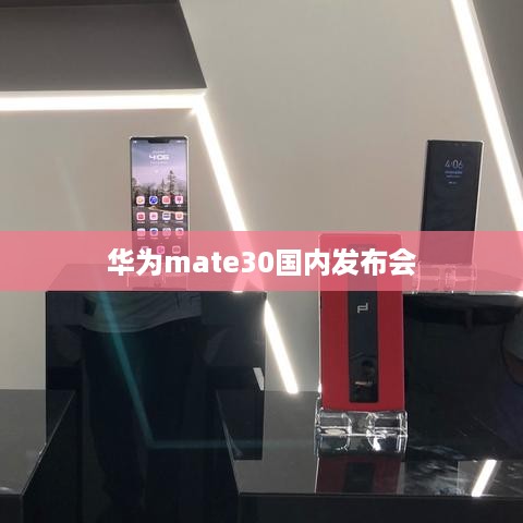 华为mate30国内发布会