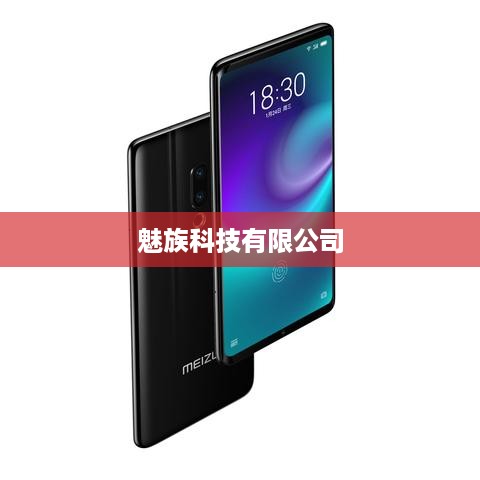 魅族科技有限公司
