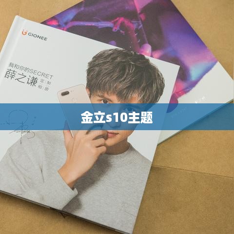 金立s10主题
