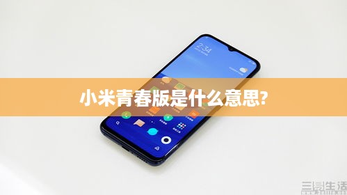 小米青春版是什么意思?