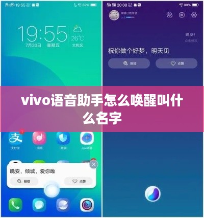 vivo语音助手怎么唤醒叫什么名字  第1张