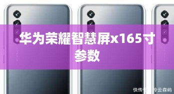 华为荣耀智慧屏x165寸参数