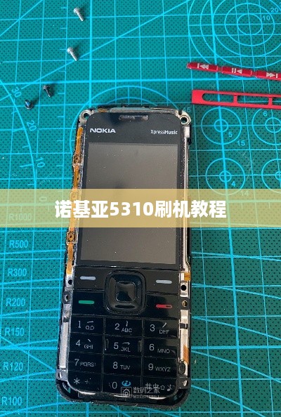诺基亚5310刷机教程
